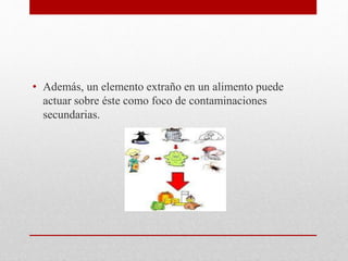 • Además, un elemento extraño en un alimento puede
actuar sobre éste como foco de contaminaciones
secundarias.
 