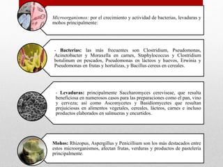 Microorganismos: por el crecimiento y actividad de bacterias, levaduras y
mohos principalmente:
- Bacterias: las más frecuentes son Clostridium, Pseudomonas,
Acinetobacter y Moraxella en carnes, Staphylococcus y Clostridium
botulinum en pescados, Pseudomonas en lácteos y huevos, Erwinia y
Pseudomonas en frutas y hortalizas, y Bacillus cereus en cereales.
- Levaduras: principalmente Saccharomyces cereviseae, que resulta
beneficiosa en numerosos casos para las preparaciones como el pan, vino
y cerveza; así como Ascomycetes y Basidiomycetes que resultan
prejuiciosas en alimentos vegetales, cereales, lácteos, carnes e incluso
productos elaborados en salmueras y encurtidos.
Mohos: Rhizopus, Aspergillus y Penicillium son los más destacados entre
estos microorganismos, afectan frutas, verduras y productos de pastelería
principalmente.
 