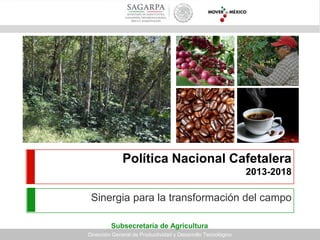Política Nacional Cafetalera
2013-2018
Sinergia para la transformación del campo
Subsecretaría de Agricultura
Dirección General de Productividad y Desarrollo Tecnológico
Subsecretaría de Agricultura
 