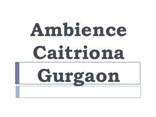 Ambience
Caitriona
Gurgaon
 