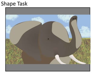 Shape Task
 