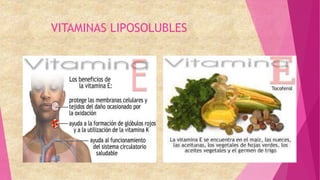 VITAMINAS LIPOSOLUBLES
 
