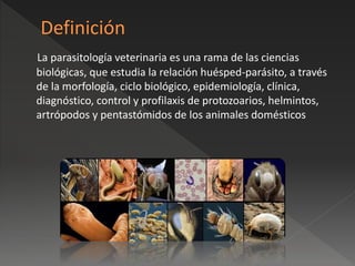 La parasitología veterinaria es una rama de las ciencias
biológicas, que estudia la relación huésped-parásito, a través
de la morfología, ciclo biológico, epidemiología, clínica,
diagnóstico, control y profilaxis de protozoarios, helmintos,
artrópodos y pentastómidos de los animales domésticos
 