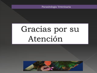 Parasitología Veterinaria
Gracias por su
Atención 
 