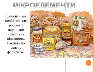 елементи які
необхідні для
рослин у
порівняно
невеликих
кількостях.
Входять до
складу
ферментів.
 