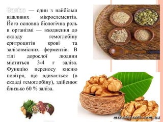 — один з найбільш
важливих мікроелементів.
Його основна біологічна роль
в організмі — входження до
складу гемоглобіну
еритроцитів крові та
залізовмісних ферментів. В
тілі дорослої людини
міститься 3-4 г заліза.
Функцію переносу кисню
повітря, що вдихається (в
складі гемоглобіну), здійснює
близько 60 % заліза.
 