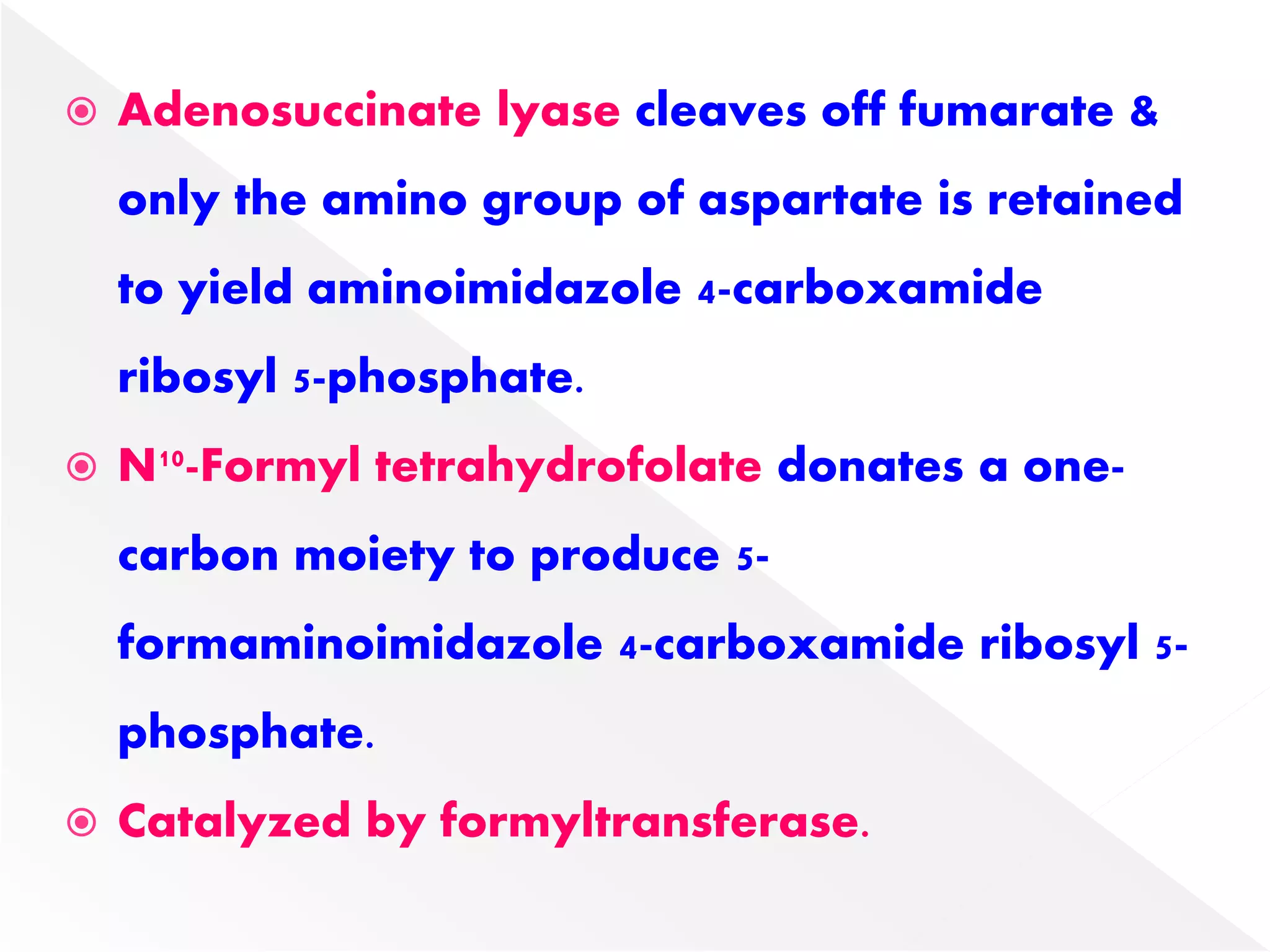  Adenosuccinate lyase cleaves off fumarate &
only the amino group of aspartate is retained
to yield aminoimidazole 4-carboxamide
ribosyl 5-phosphate.
 N10-Formyl tetrahydrofolate donates a one-
carbon moiety to produce 5-
formaminoimidazole 4-carboxamide ribosyl 5-
phosphate.
 Catalyzed by formyltransferase.
 