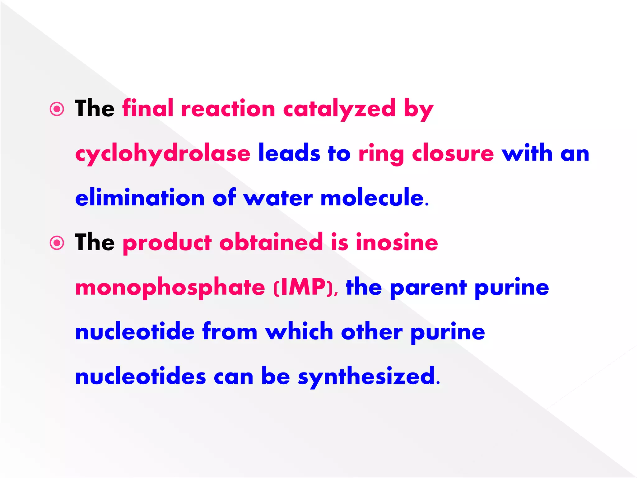  The final reaction catalyzed by
cyclohydrolase leads to ring closure with an
elimination of water molecule.
 The product obtained is inosine
monophosphate (IMP), the parent purine
nucleotide from which other purine
nucleotides can be synthesized.
 