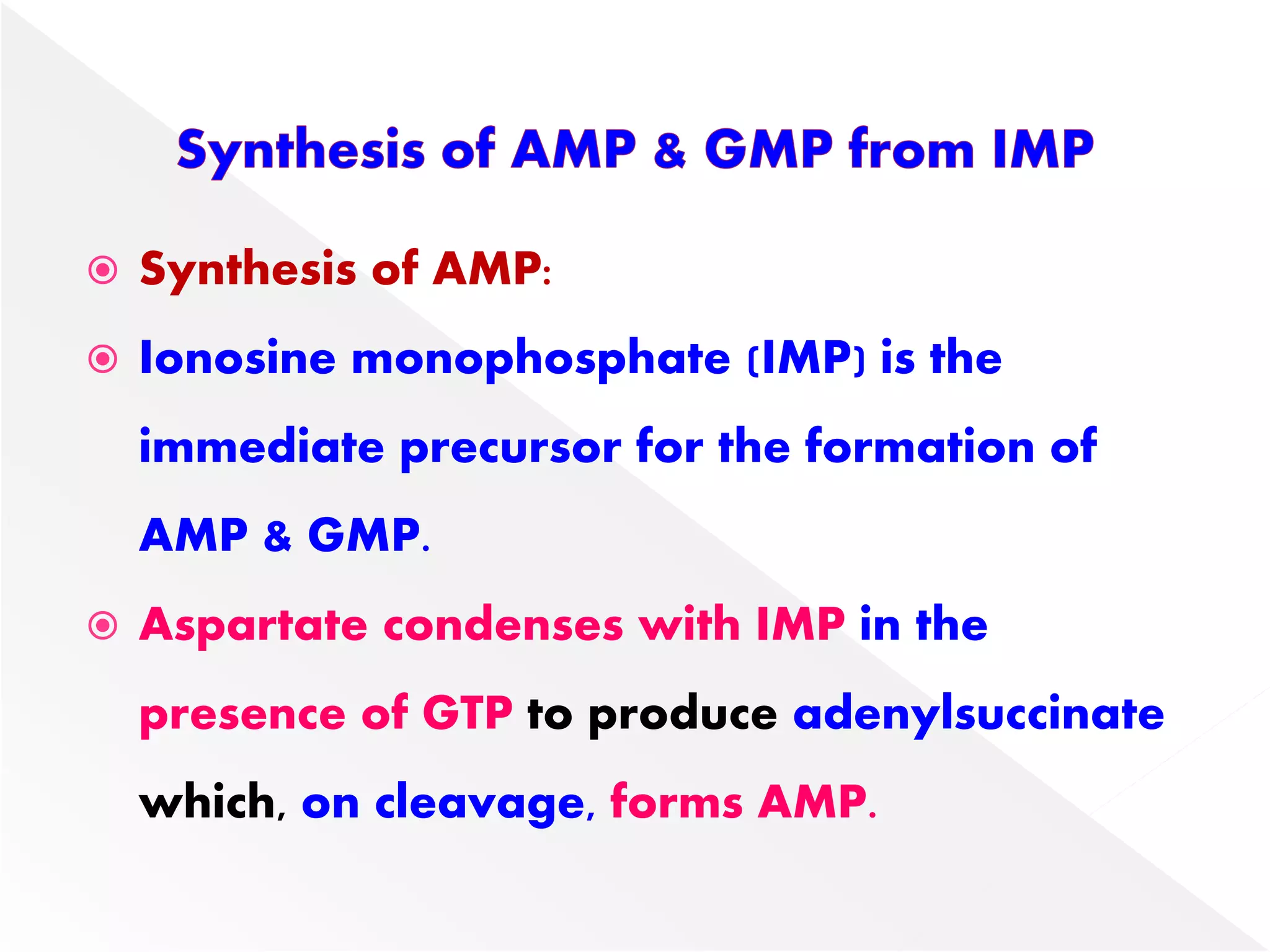  Synthesis of AMP:
 Ionosine monophosphate (IMP) is the
immediate precursor for the formation of
AMP & GMP.
 Aspartate condenses with IMP in the
presence of GTP to produce adenylsuccinate
which, on cleavage, forms AMP.
 