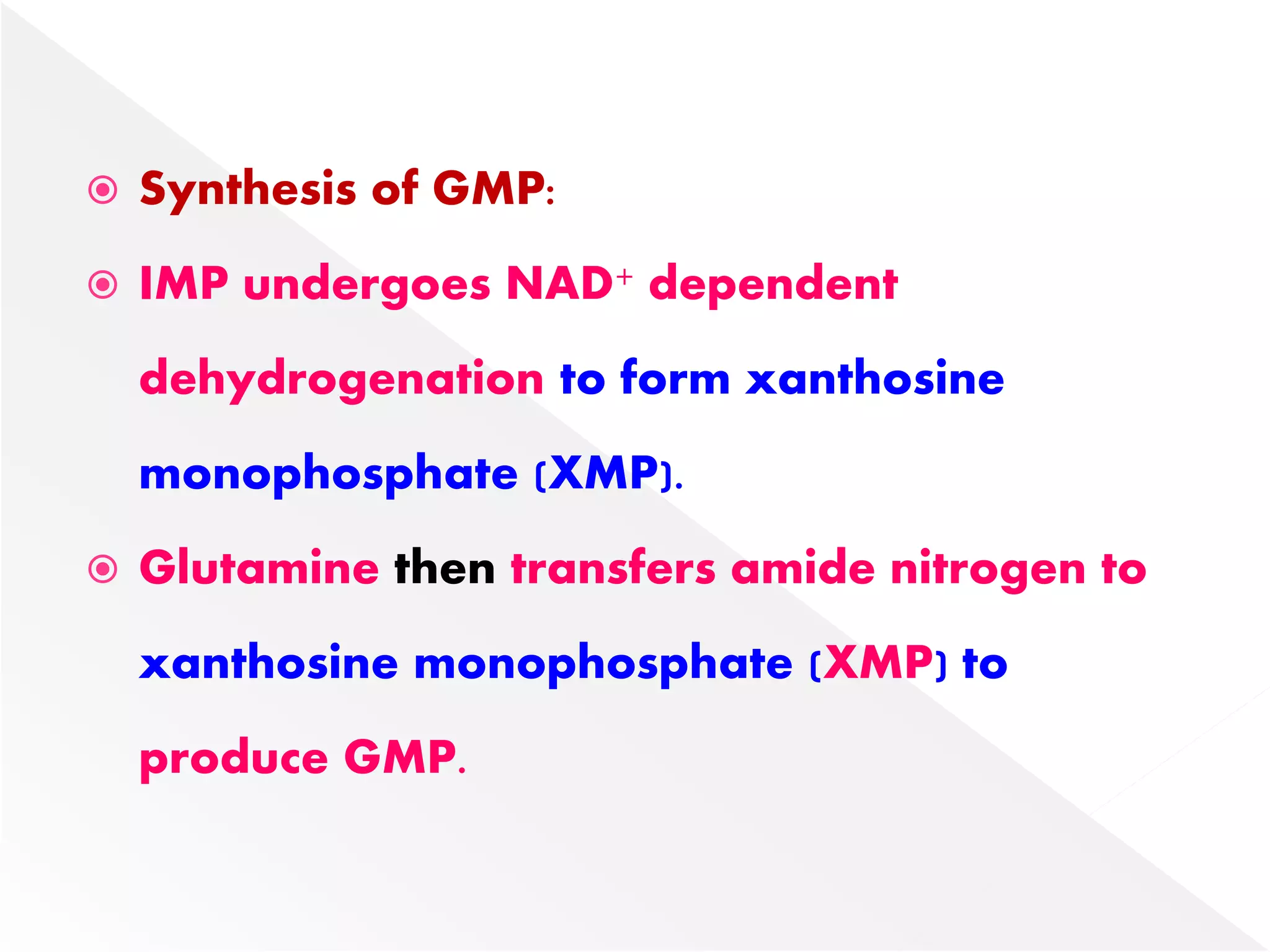  Synthesis of GMP:
 IMP undergoes NAD+ dependent
dehydrogenation to form xanthosine
monophosphate (XMP).
 Glutamine then transfers amide nitrogen to
xanthosine monophosphate (XMP) to
produce GMP.
 