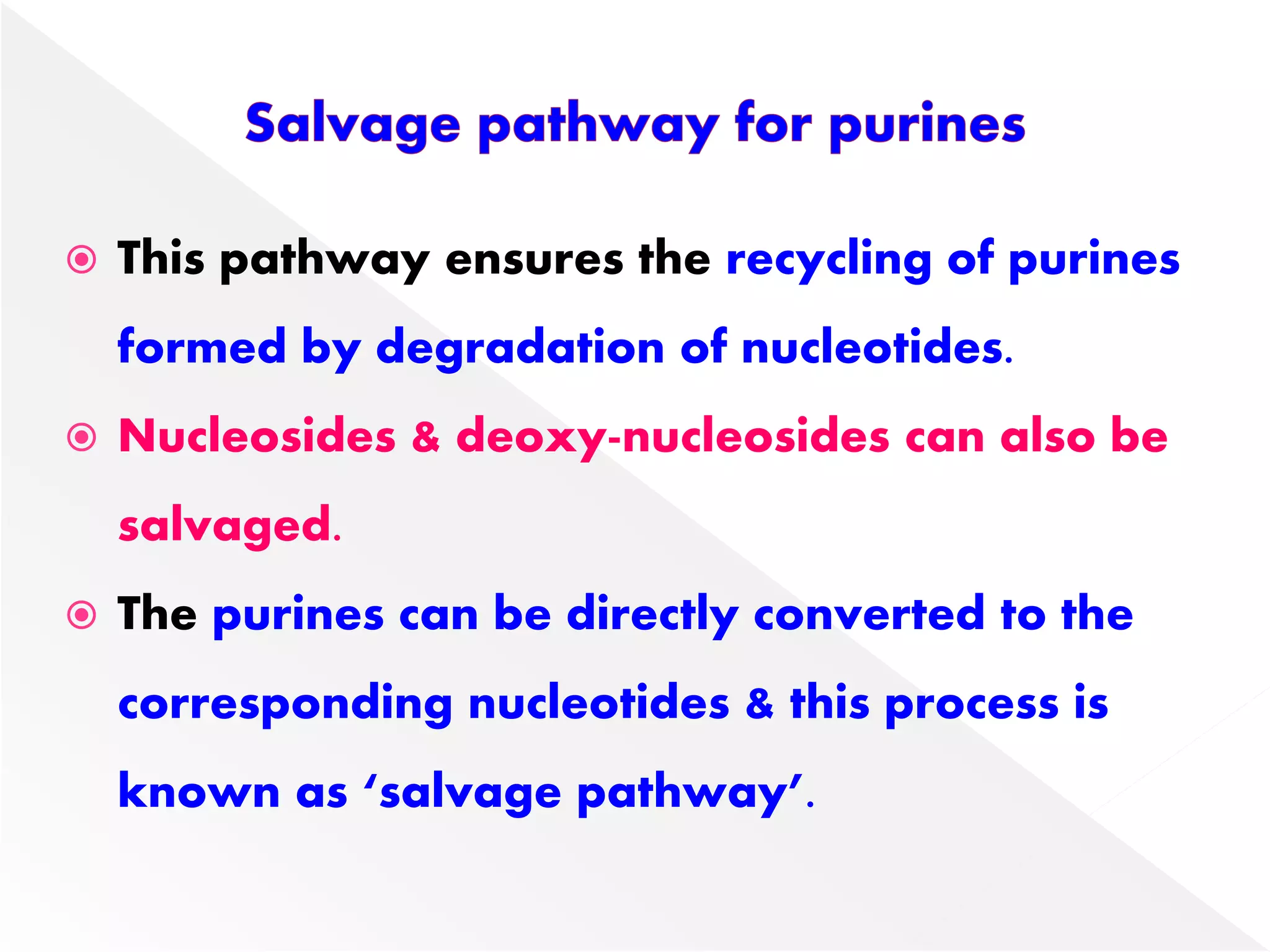  This pathway ensures the recycling of purines
formed by degradation of nucleotides.
 Nucleosides & deoxy-nucleosides can also be
salvaged.
 The purines can be directly converted to the
corresponding nucleotides & this process is
known as ‘salvage pathway’.
 