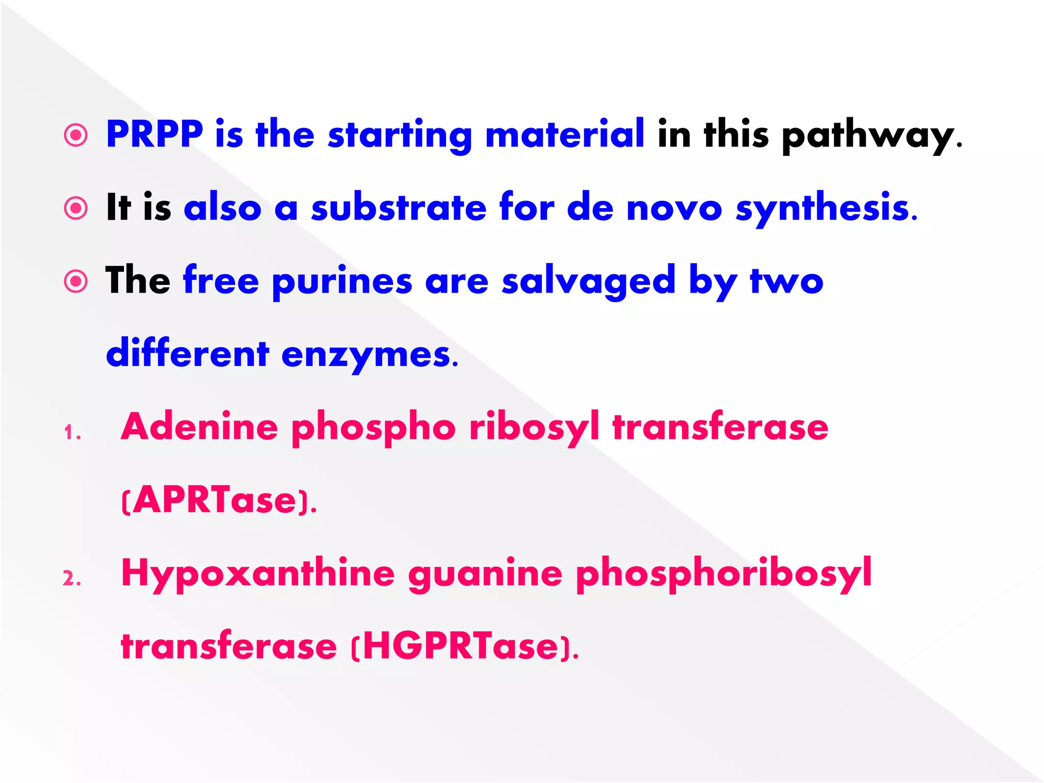  PRPP is the starting material in this pathway.
 It is also a substrate for de novo synthesis.
 The free purines are salvaged by two
different enzymes.
1. Adenine phospho ribosyl transferase
(APRTase).
2. Hypoxanthine guanine phosphoribosyl
transferase (HGPRTase).
 