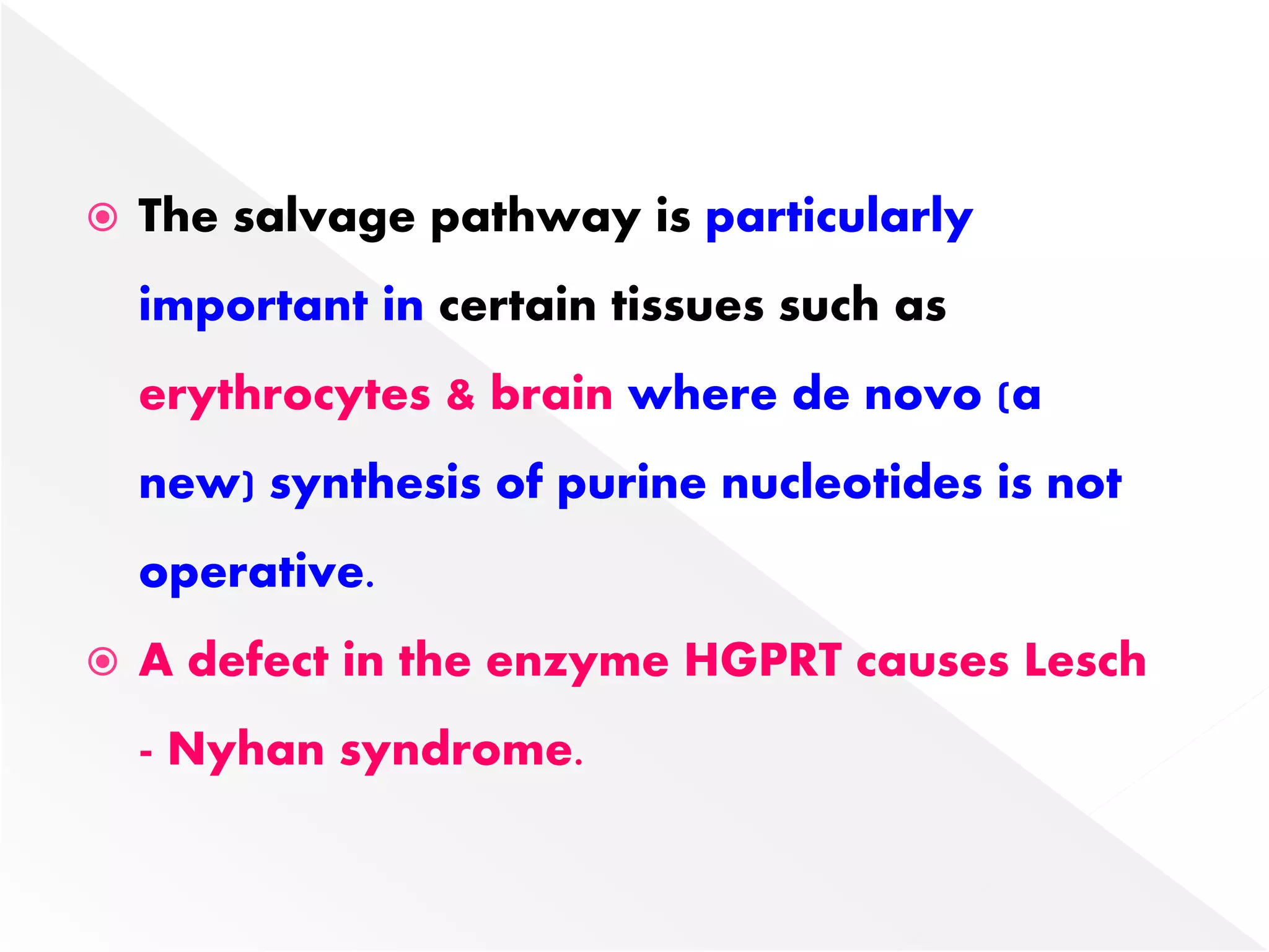  The salvage pathway is particularly
important in certain tissues such as
erythrocytes & brain where de novo (a
new) synthesis of purine nucleotides is not
operative.
 A defect in the enzyme HGPRT causes Lesch
- Nyhan syndrome.
 