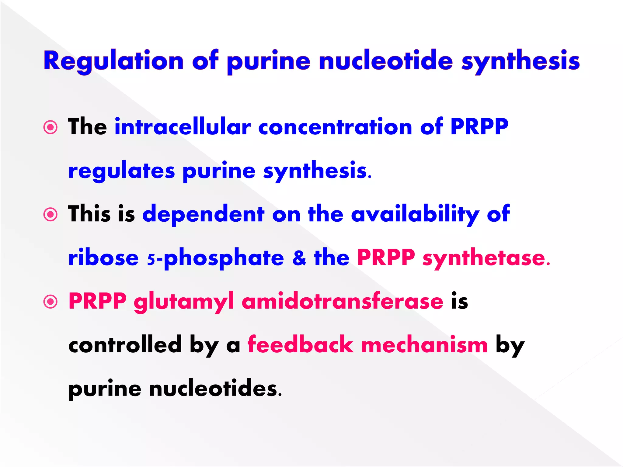  The intracellular concentration of PRPP
regulates purine synthesis.
 This is dependent on the availability of
ribose 5-phosphate & the PRPP synthetase.
 PRPP glutamyl amidotransferase is
controlled by a feedback mechanism by
purine nucleotides.
 
