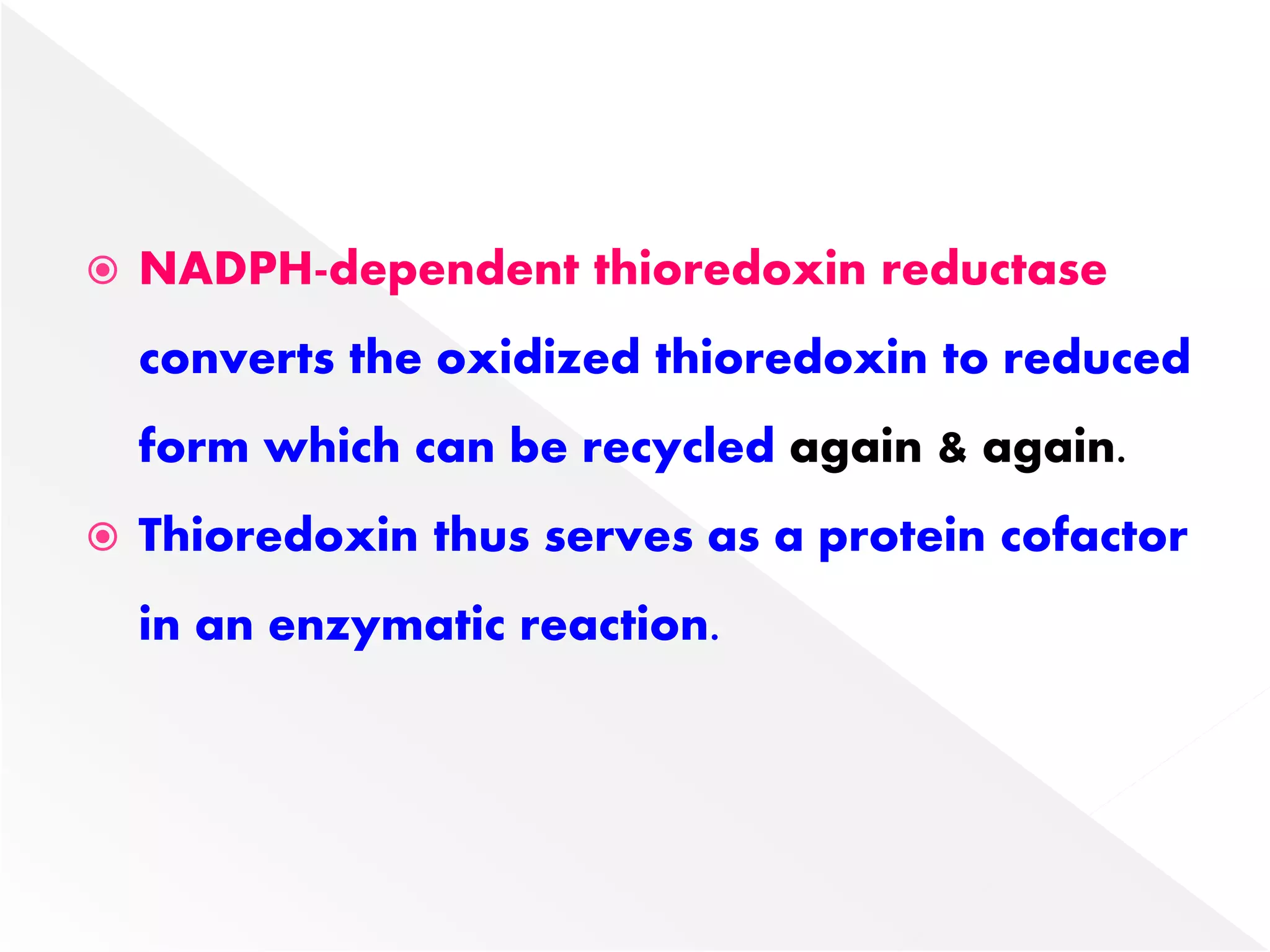  NADPH-dependent thioredoxin reductase
converts the oxidized thioredoxin to reduced
form which can be recycled again & again.
 Thioredoxin thus serves as a protein cofactor
in an enzymatic reaction.
 