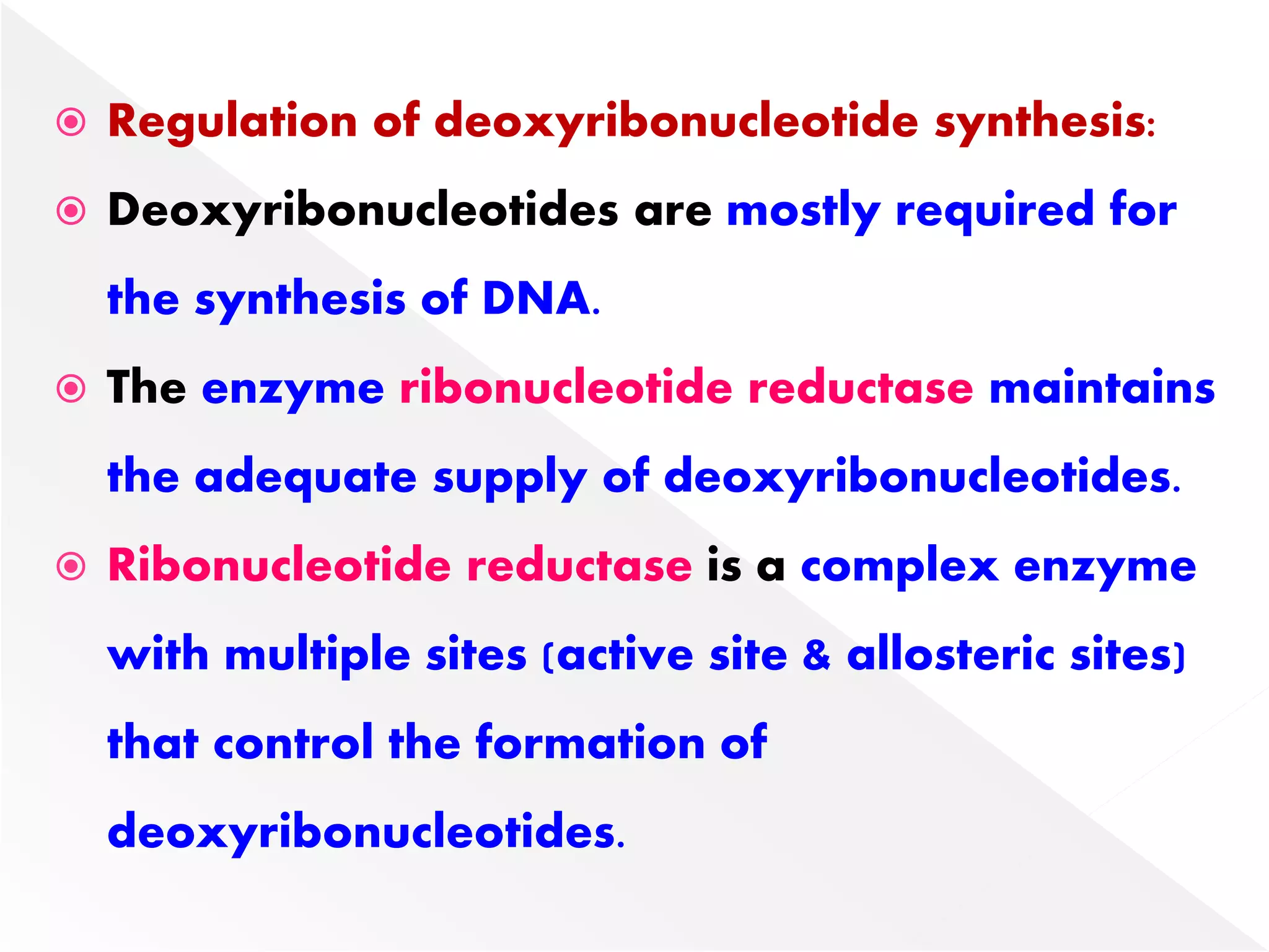  Regulation of deoxyribonucleotide synthesis:
 Deoxyribonucleotides are mostly required for
the synthesis of DNA.
 The enzyme ribonucleotide reductase maintains
the adequate supply of deoxyribonucleotides.
 Ribonucleotide reductase is a complex enzyme
with multiple sites (active site & allosteric sites)
that control the formation of
deoxyribonucleotides.
 