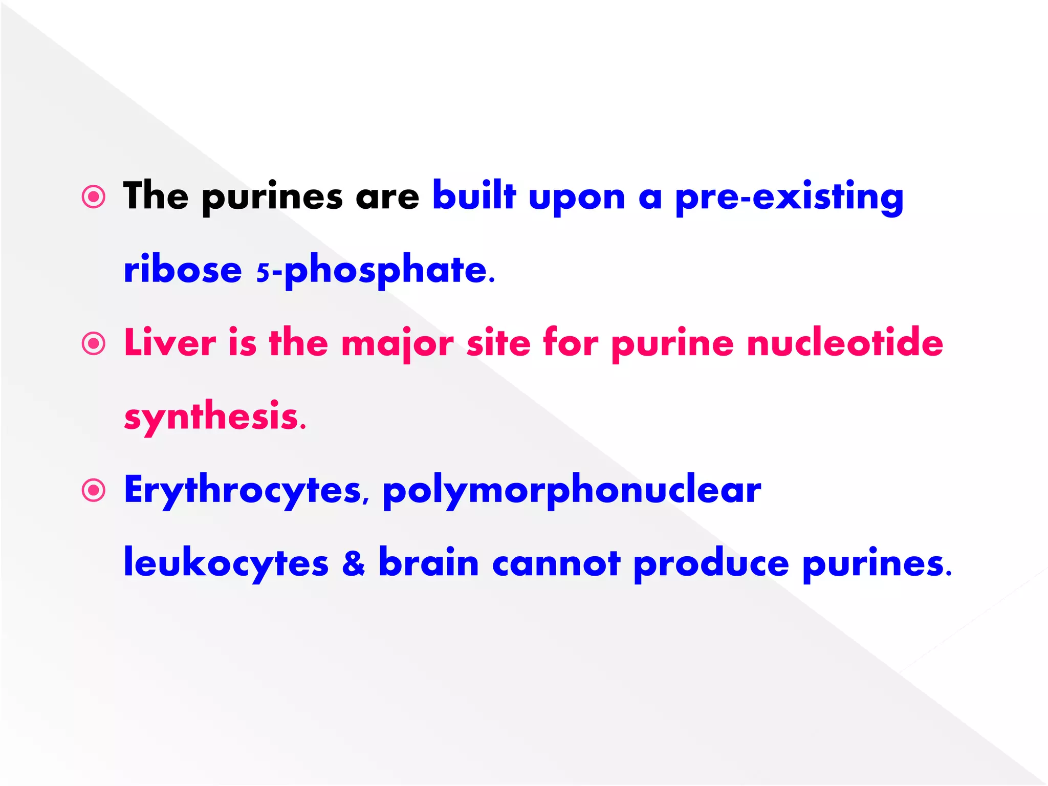  The purines are built upon a pre-existing
ribose 5-phosphate.
 Liver is the major site for purine nucleotide
synthesis.
 Erythrocytes, polymorphonuclear
leukocytes & brain cannot produce purines.
 