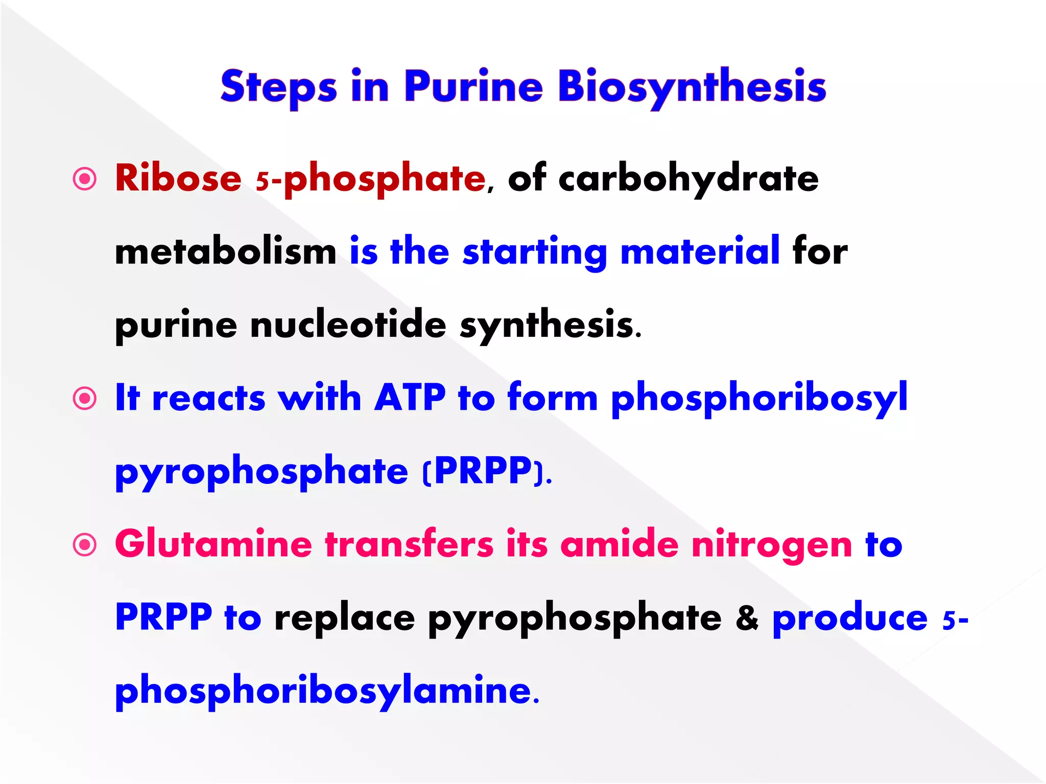  Ribose 5-phosphate, of carbohydrate
metabolism is the starting material for
purine nucleotide synthesis.
 It reacts with ATP to form phosphoribosyl
pyrophosphate (PRPP).
 Glutamine transfers its amide nitrogen to
PRPP to replace pyrophosphate & produce 5-
phosphoribosylamine.
 