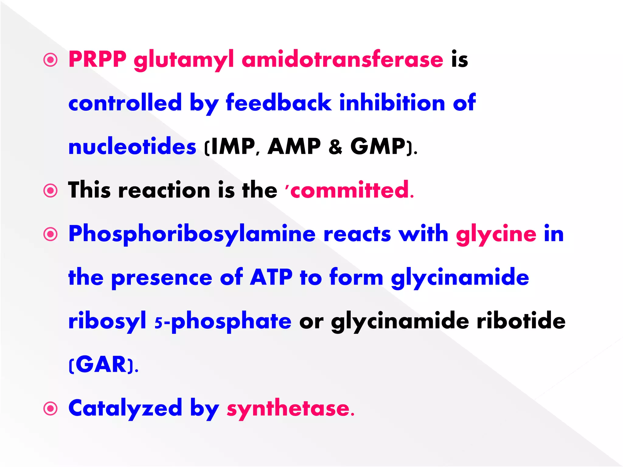  PRPP glutamyl amidotransferase is
controlled by feedback inhibition of
nucleotides (IMP, AMP & GMP).
 This reaction is the 'committed.
 Phosphoribosylamine reacts with glycine in
the presence of ATP to form glycinamide
ribosyl 5-phosphate or glycinamide ribotide
(GAR).
 Catalyzed by synthetase.
 