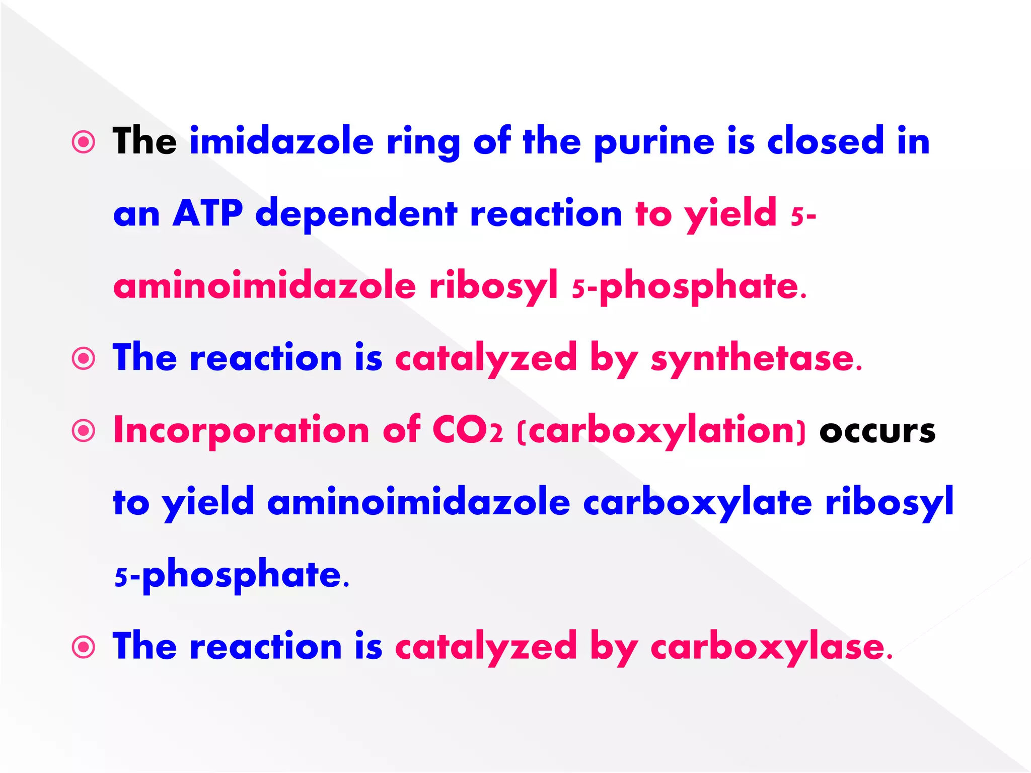  The imidazole ring of the purine is closed in
an ATP dependent reaction to yield 5-
aminoimidazole ribosyl 5-phosphate.
 The reaction is catalyzed by synthetase.
 Incorporation of CO2 (carboxylation) occurs
to yield aminoimidazole carboxylate ribosyl
5-phosphate.
 The reaction is catalyzed by carboxylase.
 