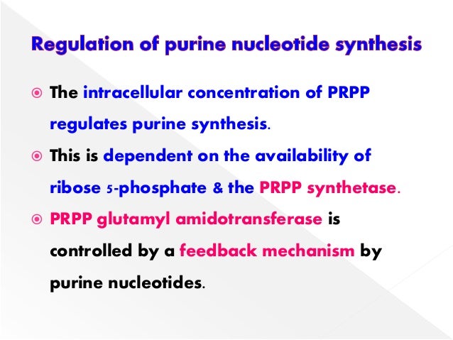 biosynthesis of purine nucleotides Nucleotide metabolism : 161 it undergoes degradation like other purine nucleotides and as such will contribute to uric acid production. biosynthesis of purine nucleotides Nucleotide metabolism : 161 it undergoes degradation like other purine nucleotides and as such will contribute to uric acid production.