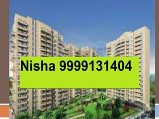 Nisha9999l3l4O4 parsvnath delhi heights