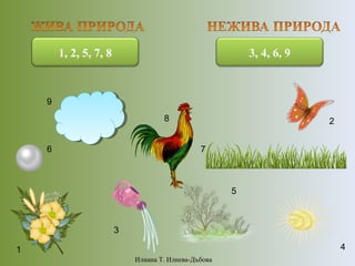 1
2
3
4
5
6 7
8
9
1, 2, 5, 7, 8 3, 4, 6, 9
Илиана Т. Илиева-Дъбова
 