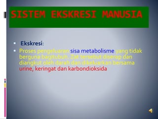 SISTEM EKSKRESI MANUSIA
 Ekskresi:
 Proses pengeluaran sisa metabolisme yang tidak
berguna bagitubuh. Zat tersebut diserap dan
diangkut oleh darah dan dikeluarkan bersama
urine, keringat dan karbondioksida
 