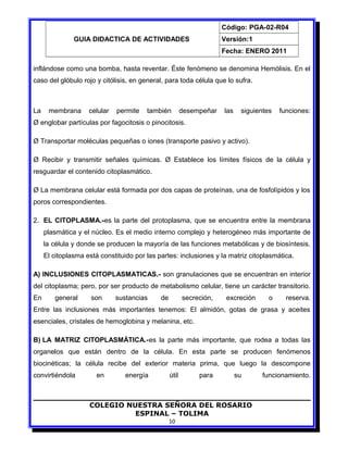 GUIA DIDACTICA DE ACTIVIDADES
Código: PGA-02-R04
Versión:1
Fecha: ENERO 2011
inflándose como una bomba, hasta reventar. Éste fenómeno se denomina Hemólisis. En el
caso del glóbulo rojo y citólisis, en general, para toda célula que lo sufra.
La membrana celular permite también desempeñar las siguientes funciones:
Ø englobar partículas por fagocitosis o pinocitosis.
Ø Transportar moléculas pequeñas o iones (transporte pasivo y activo).
Ø Recibir y transmitir señales químicas. Ø Establece los límites físicos de la célula y
resguardar el contenido citoplasmático.
Ø La membrana celular está formada por dos capas de proteínas, una de fosfolípidos y los
poros correspondientes.
2. EL CITOPLASMA.-es la parte del protoplasma, que se encuentra entre la membrana
plasmática y el núcleo. Es el medio interno complejo y heterogéneo más importante de
la célula y donde se producen la mayoría de las funciones metabólicas y de biosíntesis.
El citoplasma está constituido por las partes: inclusiones y la matriz citoplasmática.
A) INCLUSIONES CITOPLASMATICAS.- son granulaciones que se encuentran en interior
del citoplasma; pero, por ser producto de metabolismo celular, tiene un carácter transitorio.
En general son sustancias de secreción, excreción o reserva.
Entre las inclusiones más importantes tenemos: El almidón, gotas de grasa y aceites
esenciales, cristales de hemoglobina y melanina, etc.
B) LA MATRIZ CITOPLASMÁTICA.-es la parte más importante, que rodea a todas las
organelos que están dentro de la célula. En esta parte se producen fenómenos
biocinéticas; la célula recibe del exterior materia prima, que luego la descompone
convirtiéndola en energía útil para su funcionamiento.
COLEGIO NUESTRA SEÑORA DEL ROSARIO
ESPINAL – TOLIMA
10
 