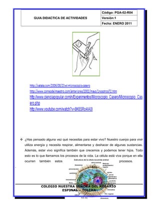 GUIA DIDACTICA DE ACTIVIDADES
Código: PGA-02-R04
Versión:1
Fecha: ENERO 2011
 ¿Has pensado alguna vez qué necesitas para estar vivo? Nuestro cuerpo para vivir
utiliza energía y necesita respirar, alimentarse y deshacer de algunas sustancias.
Además, estar vivo significa también que crecemos y podemos tener hijos. Todo
esto es lo que llamamos los procesos de la vida. La célula está viva porque en ella
ocurren también estos procesos.
.
COLEGIO NUESTRA SEÑORA DEL ROSARIO
ESPINAL – TOLIMA
3
 
