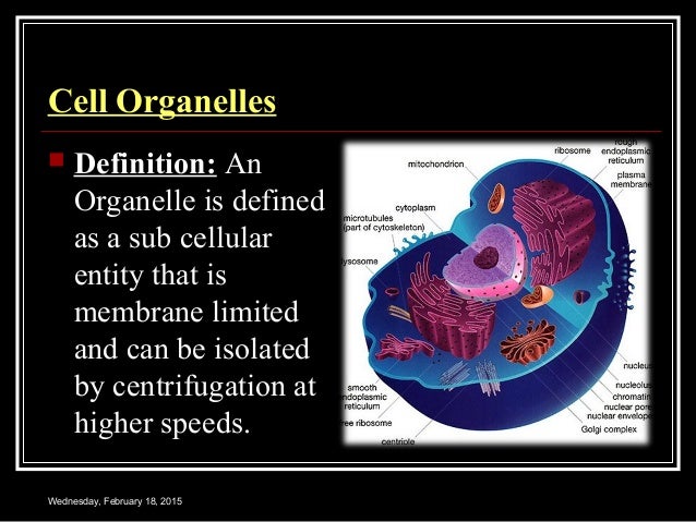 CELL PHYSIOLOGY