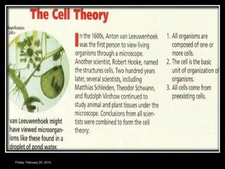 Friday, February 20, 2015
 
