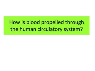 How is blood propelled through
the human circulatory system?
 
