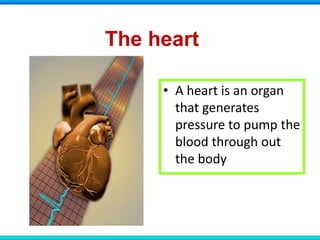 The heart
• A heart is an organ
that generates
pressure to pump the
blood through out
the body
 