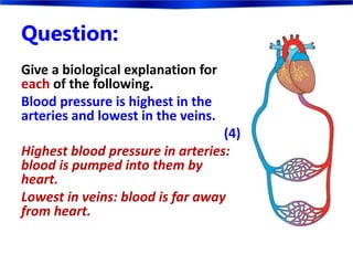 Question:
Give a biological explanation for
each of the following.
Blood pressure is highest in the
arteries and lowest in the veins.
(4)
Highest blood pressure in arteries:
blood is pumped into them by
heart.
Lowest in veins: blood is far away
from heart.
 