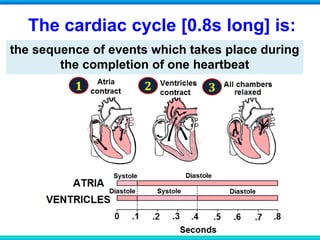 The cardiac cycle [0.8s long] is:
the sequence of events which takes place during
the completion of one heartbeat
1 2 3
 