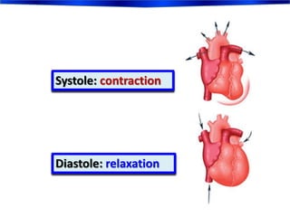 Systole: contraction
Diastole: relaxation
 
