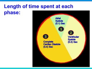 Length of time spent at each
phase:
1
2
3
 