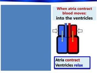 Ventricles contract
Atria relax
Atria contract
Ventricles relax
When ventricles
contract blood moves:
out of the heart
When atria contract
blood moves:
into the ventricles
 