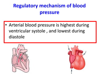 Regulatory mechanism of blood
pressure
• Arterial blood pressure is highest during
ventricular systole , and lowest during
diastole
 