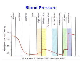 Blood Pressure
 