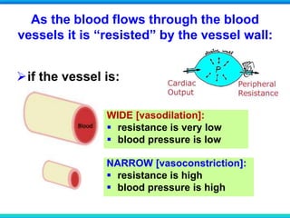 As the blood flows through the blood
vessels it is “resisted” by the vessel wall:
if the vessel is:
WIDE [vasodilation]:
 resistance is very low
 blood pressure is low
NARROW [vasoconstriction]:
 resistance is high
 blood pressure is high
 