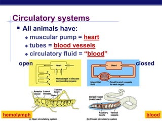 Regents Biology
Circulatory systems
 All animals have:
 muscular pump = heart
 tubes = blood vessels
 circulatory fluid = “blood”
open closed
hemolymph blood
 