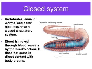 Closed system
• Vertebrates, annelid
worms, and a few
mollusks have a
closed circulatory
system.
• Blood is moved
through blood vessels
by the heart’s action. It
does not come in
direct contact with
body organs.
 