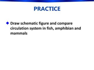  Draw schematic figure and compare
circulation system in fish, amphibian and
mammals
PRACTICE
 