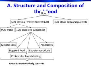 A. Structure and Composition of
the bloodBlood
55% plasma 45% blood cells and platelets
90% water 10% dissolved substances
Antibodies
Digested food
Mineral salts
Proteins for blood clotting
Excretory products
(Pale yellowish liquid)
Amounts kept relatively constant
 