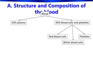 A. Structure and Composition of
the bloodBlood
45% blood cells and platelets
Red blood cells
White blood cells
Platelets
55% plasma
 