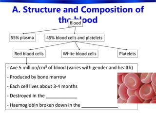 A. Structure and Composition of
the bloodBlood
45% blood cells and platelets
Red blood cells White blood cells Platelets
55% plasma
- Ave 5 million/cm3 of blood (varies with gender and health)
- Produced by bone marrow
- Each cell lives about 3-4 months
- Destroyed in the ____________
- Haemoglobin broken down in the ______________
 