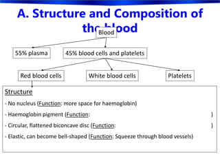 A. Structure and Composition of
the bloodBlood
45% blood cells and platelets
Red blood cells White blood cells Platelets
55% plasma
Structure
- No nucleus (Function: more space for haemoglobin)
- Haemoglobin pigment (Function: )
- Circular, flattened biconcave disc (Function: )
- Elastic, can become bell-shaped (Function: Squeeze through blood vessels)
 