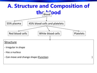 A. Structure and Composition of
the bloodBlood
45% blood cells and platelets
Red blood cells White blood cells Platelets
55% plasma
Structure
- Irregular in shape
- Has a nucleus
- Can move and change shape (Function: )
 
